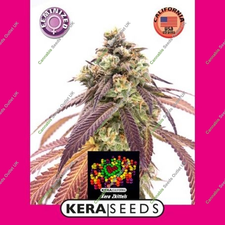 Zkittels Feminized Marijuana Strain by Kera Seeds For Sale Online at Cannabis Seeds Outlet