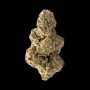 Colossal Purps Feminized Marijuana Strain by Mega Buds For Sale Online at Cannabis Seeds Outlet