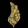 Giant Skittlez Feminized Marijuana Strain by Mega Buds For Sale Online at Cannabis Seeds Outlet