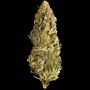 Mega CBD Feminized Marijuana Strain by Mega Buds For Sale Online at Cannabis Seeds Outlet