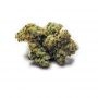 Cannabis Seeds Outlet Weed Strain Cookies n Cheese Feminized Marijuana Seeds Original Collector Souvenir Authentic Packaging Pac
