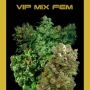 Female Mix Feminized Marijuana Strain by VIP Seeds For Sale Online at Cannabis Seeds Outlet