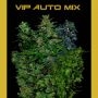 VIP Automatic Mix Feminized Marijuana Strain by VIP Seeds For Sale Online at Cannabis Seeds Outlet