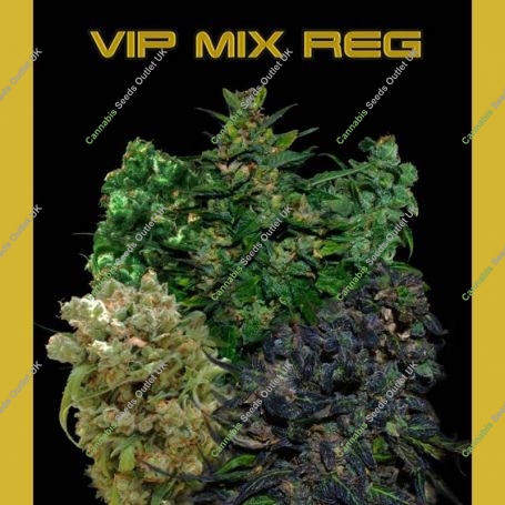 VIP Mix Regular Marijuana Strain by VIP Seeds For Sale Online at Cannabis Seeds Outlet