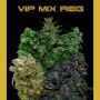 VIP Mix Regular Marijuana Strain by VIP Seeds For Sale Online at Cannabis Seeds Outlet