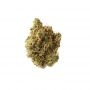Cannabis Seeds Outlet Weed Strain Amnesia Crack Feminized Marijuana Seeds Original Collector Souvenir Authentic Packaging Packs
