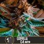 Gorilla G4 Auto Feminized Marijuana Strain by Blim Burn For Sale Online at Cannabis Seeds Outlet