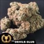 Devils Glue Feminized Marijuana Strain by Devils Harvest For Sale Online at Cannabis Seeds Outlet