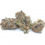 Rainbow Sherbet Feminized Marijuana Strain by Dispensario Seeds For Sale Online at Cannabis Seeds Outlet