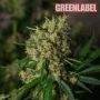 Lemon Bud Feminized Marijuana Strain by Green Label For Sale Online at Cannabis Seeds Outlet