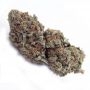Cannabis Seeds Outlet Incredible Blueberry Smoke Buds Weed Ganja Skunk Dope Pot Images Pics Nuggets