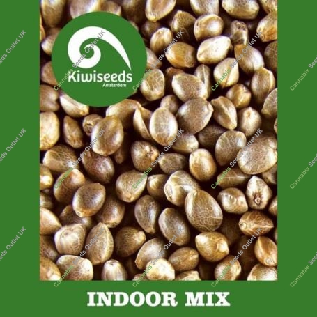 Indoor Mix Regular Marijuana Strain by Kiwi Seeds For Sale Online at Cannabis Seeds Outlet