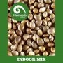 Indoor Mix Regular Marijuana Strain by Kiwi Seeds For Sale Online at Cannabis Seeds Outlet