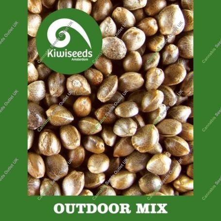 Outdoor Mix Regular Marijuana Strain by Kiwi Seeds For Sale Online at Cannabis Seeds Outlet