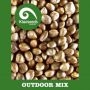Outdoor Mix Regular Marijuana Strain by Kiwi Seeds For Sale Online at Cannabis Seeds Outlet