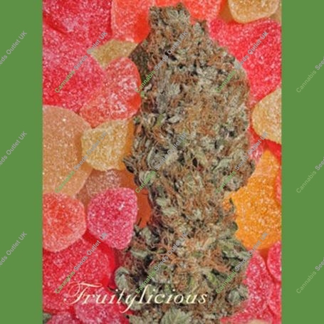 Fruitylicious Feminized Marijuana Strain by Mandala Seeds For Sale Online at Cannabis Seeds Outlet