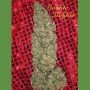 Hubble Bubble Feminized Marijuana Strain by Mandala Seeds For Sale Online at Cannabis Seeds Outlet