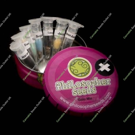 Golo Mix Feminized Marijuana Strain by Philosopher Seeds For Sale Online at Cannabis Seeds Outlet