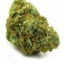 Gelato 100 Feminized Marijuana Strain by Professor Trichome For Sale Online at Cannabis Seeds Outlet