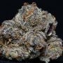 Grandaddy Purple 100 Feminized Marijuana Strain by Professor Trichome For Sale Online at Cannabis Seeds Outlet