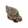 Cannabis Seeds Outlet Weed Strain Blackberry Kush Feminized Marijuana Seeds Original Collector Souvenir Authentic Packaging Pack