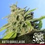 Gorilla OG Auto Feminized Marijuana Strain by Short Stuff For Sale Online at Cannabis Seeds Outlet