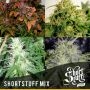 Mix Automatic Regular Marijuana Strain by Short Stuff For Sale Online at Cannabis Seeds Outlet
