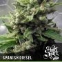 Spanish Diesel Auto Feminized Marijuana Strain by Short Stuff For Sale Online at Cannabis Seeds Outlet