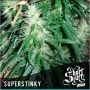 Super Stinky Super Auto Feminized Marijuana Strain by Short Stuff For Sale Online at Cannabis Seeds Outlet