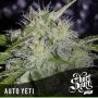 Yeti Automatic Feminized Marijuana Strain by Short Stuff For Sale Online at Cannabis Seeds Outlet