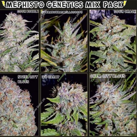 Mystery Mix Auto Feminized Marijuana Strain by Mephisto Genetics For Sale Online at Cannabis Seeds Outlet