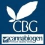 Reg Mix Regular Marijuana Strain by Cannabiogen For Sale Online at Cannabis Seeds Outlet