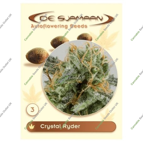 Crystal Ryder Auto Feminized Marijuana Strain by De Sjamaan Seeds For Sale Online at Cannabis Seeds Outlet