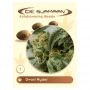 Dwarf Ryder Auto Feminized Marijuana Strain by De Sjamaan Seeds For Sale Online at Cannabis Seeds Outlet