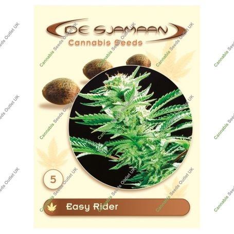 Easy Rider Auto Regular Marijuana Strain by De Sjamaan Seeds For Sale Online at Cannabis Seeds Outlet