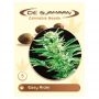 Easy Rider Auto Regular Marijuana Strain by De Sjamaan Seeds For Sale Online at Cannabis Seeds Outlet