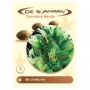 Brainstorm Regular Marijuana Strain by De Sjamaan Seeds For Sale Online at Cannabis Seeds Outlet