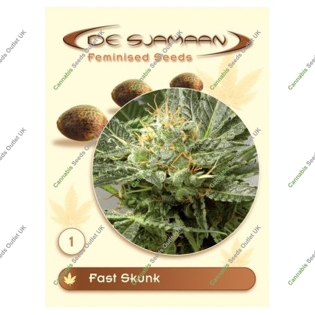 Fast Skunk Feminized Marijuana Strain by De Sjamaan Seeds For Sale Online at Cannabis Seeds Outlet