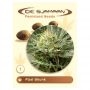 Fast Skunk Feminized Marijuana Strain by De Sjamaan Seeds For Sale Online at Cannabis Seeds Outlet
