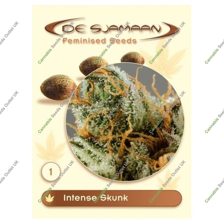 Intense Skunk Feminized Marijuana Strain by De Sjamaan Seeds For Sale Online at Cannabis Seeds Outlet