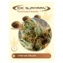 Intense Skunk Feminized Marijuana Strain by De Sjamaan Seeds For Sale Online at Cannabis Seeds Outlet