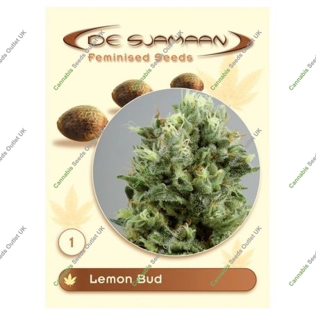 Lemon Bud Regular Marijuana Strain by De Sjamaan Seeds For Sale Online at Cannabis Seeds Outlet