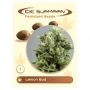 Lemon Bud Regular Marijuana Strain by De Sjamaan Seeds For Sale Online at Cannabis Seeds Outlet
