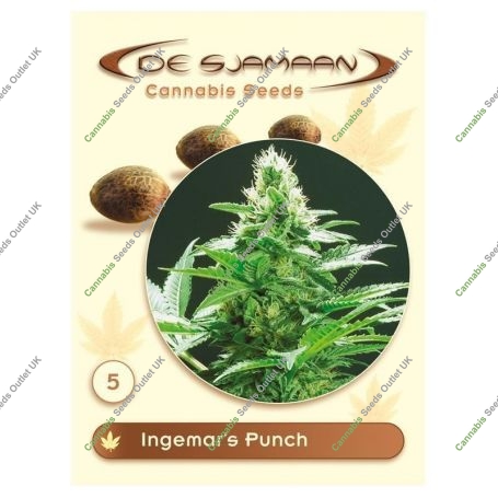 Ingemars Punch Regular Marijuana Strain by De Sjamaan Seeds For Sale Online at Cannabis Seeds Outlet