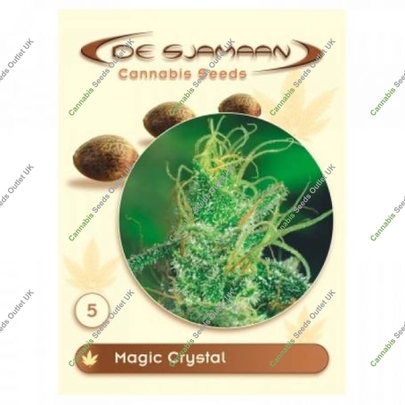 Magic Crystal Regular Marijuana Strain by De Sjamaan Seeds For Sale Online at Cannabis Seeds Outlet