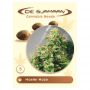 Master Haze Reg De Sjamaan Cannabis Seeds
