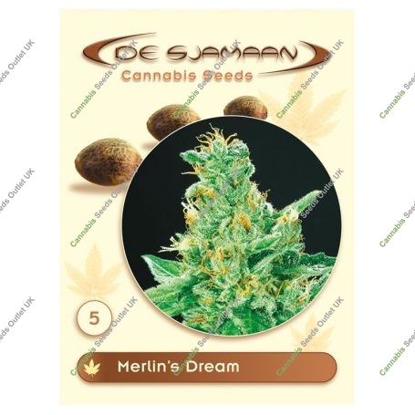Merlins Dream Regular Marijuana Strain by De Sjamaan Seeds For Sale Online at Cannabis Seeds Outlet