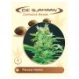 Peace Maker Regular Marijuana Strain by De Sjamaan Seeds For Sale Online at Cannabis Seeds Outlet