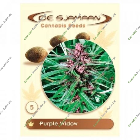 Purple Widow Regular Marijuana Strain by De Sjamaan Seeds For Sale Online at Cannabis Seeds Outlet