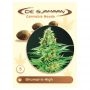 Shamans High Regular Marijuana Strain by De Sjamaan Seeds For Sale Online at Cannabis Seeds Outlet